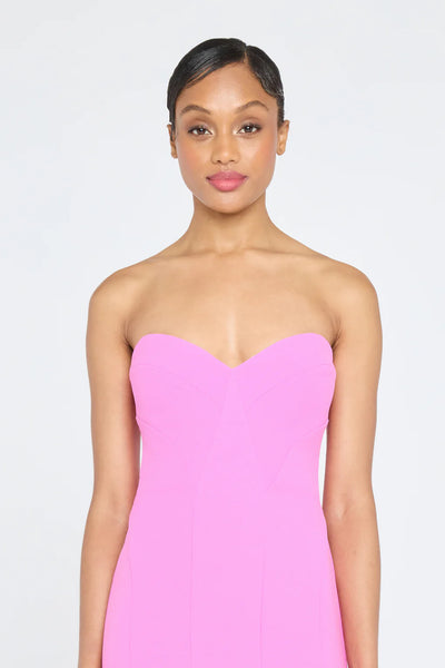 Theia Sunny Strapless Gown