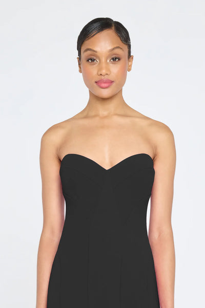 Theia Sunny Strapless Gown