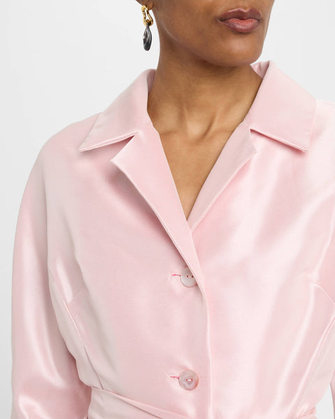 Teri Jon Mikado Floral Border Dress- Blush