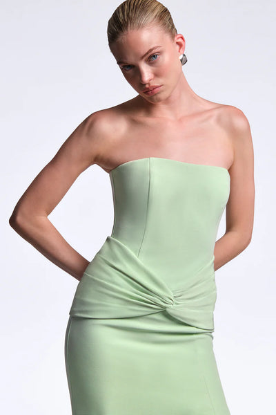 BCBG Sylvia Strapless Gown