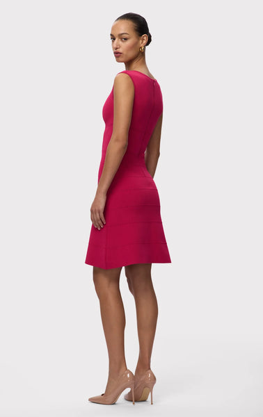 Herve Ledger Lark Dress - Camellia